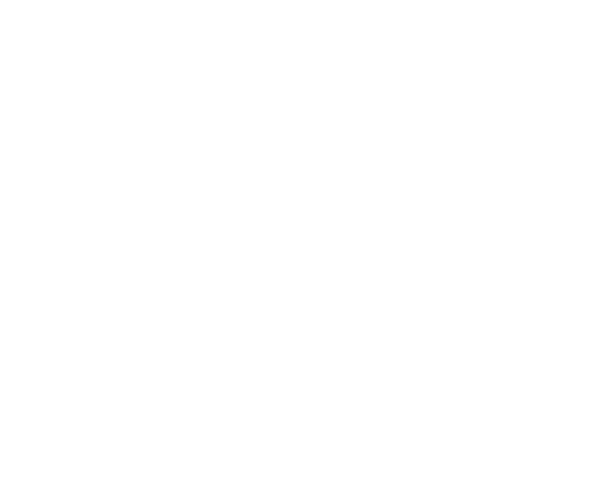 „Al primer compás de una marinera yo siento que mi piel se eriza y no lo puedo controlar…“
Susana Baca

Si hay un baile en el Perú que despierta pasiones ése es la marinera. La marinera nos deslumbra con su belleza, garbo, elegancia, coquetería, plasticidad y alegría. Su difusión y desarrollo –impulsado por diferentes profesionales de la marinera, academias y concursos a nivel nacional- experimentado a lo largo de los años, ha traspasado las fronteras de nuestro país.  

En diversas ciudades del mundo existen agrupaciones dedicadas a la difusión y promoción de nuestro folclor y, en especial, de nuestra marinera; siendo algunas de ellas, organizadoras de concursos internacionales (como los de Miami, Madrid, Barcelona, París, Zúrich, Milán, Estocolmo, etc.). 

“A bailar Marinera en Alemania” contribuye a esta hermosa labor de difusión de nuestro baile, como parte de nuestra cultura e identidad. Aquí encontrarás artículos, investigaciones, historia, entrevistas, reportajes, fotos, eventos, foros, información sobre cursos en Alemania y Europa, todos relacionados con nuestro baile nacional, además de nuestras secciones especiales “MarineraTv” y Radio-Marinera”. 

Déjate cautivar por el encanto de nuestra Marinera!
